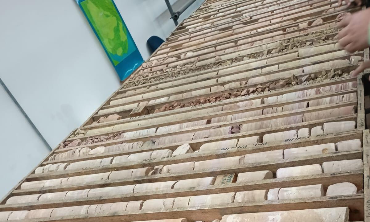 Estudiantes del bachillerato agrario recorrieron planta de ANCAP