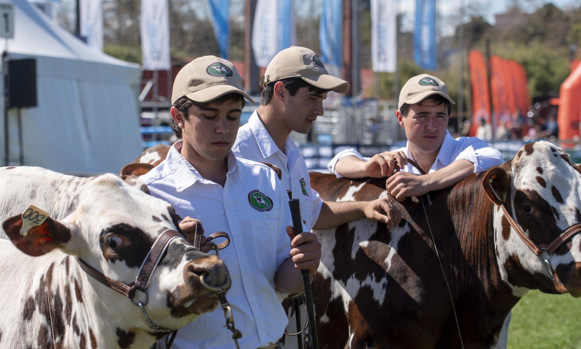La Escuela Técnica de Durazno gana numerosos premios en la Expo Prado