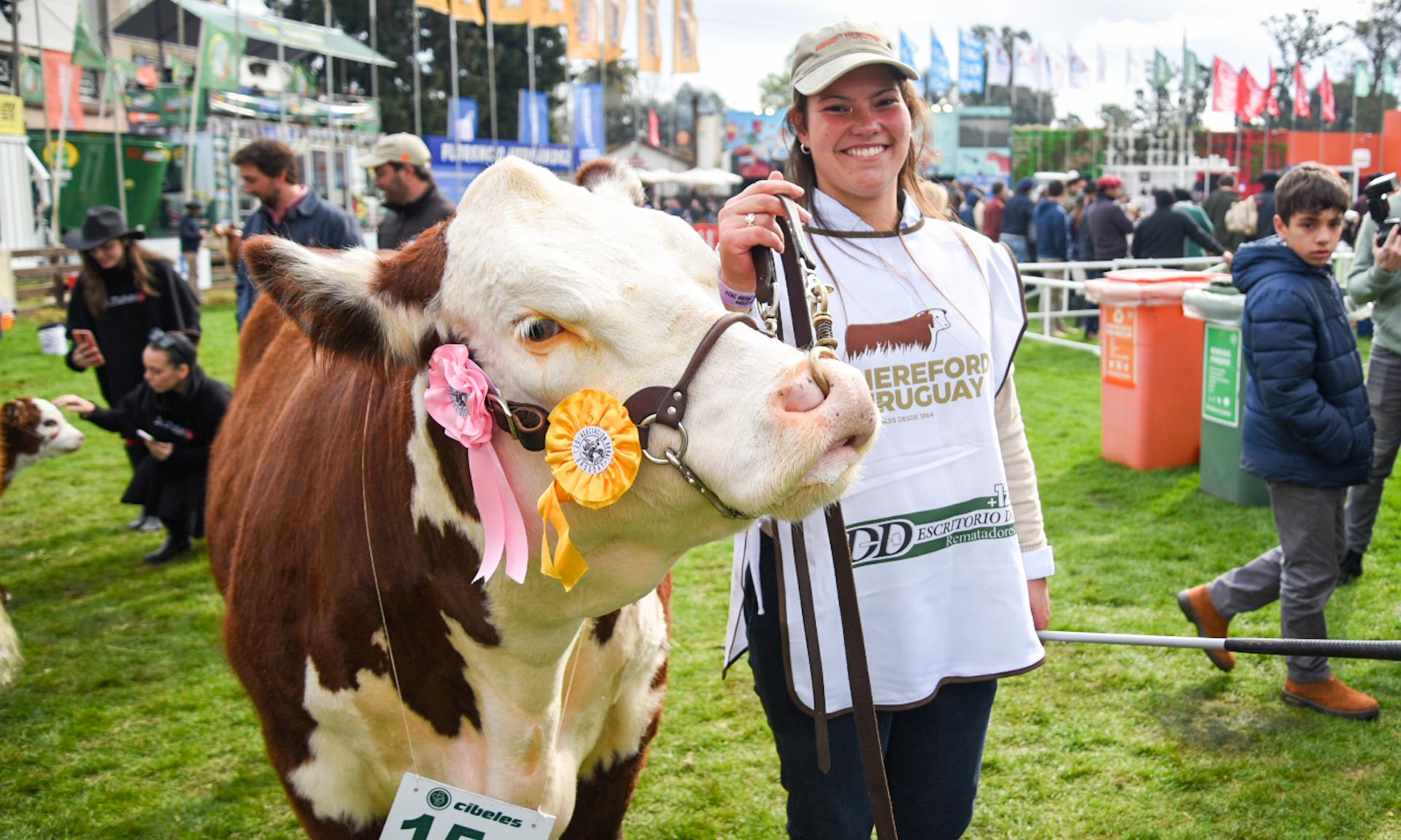 Emoción en el ruedo: la vaquillona Hereford de la UTU La Carolina es la Reservada Gran Campeona en esta Expo Prado 2024