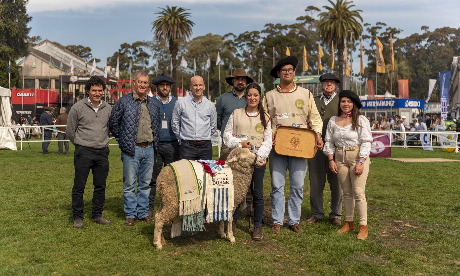 Dos broches de oro para UTU: Reservada y Gran Campeona de la raza Merino Dohne