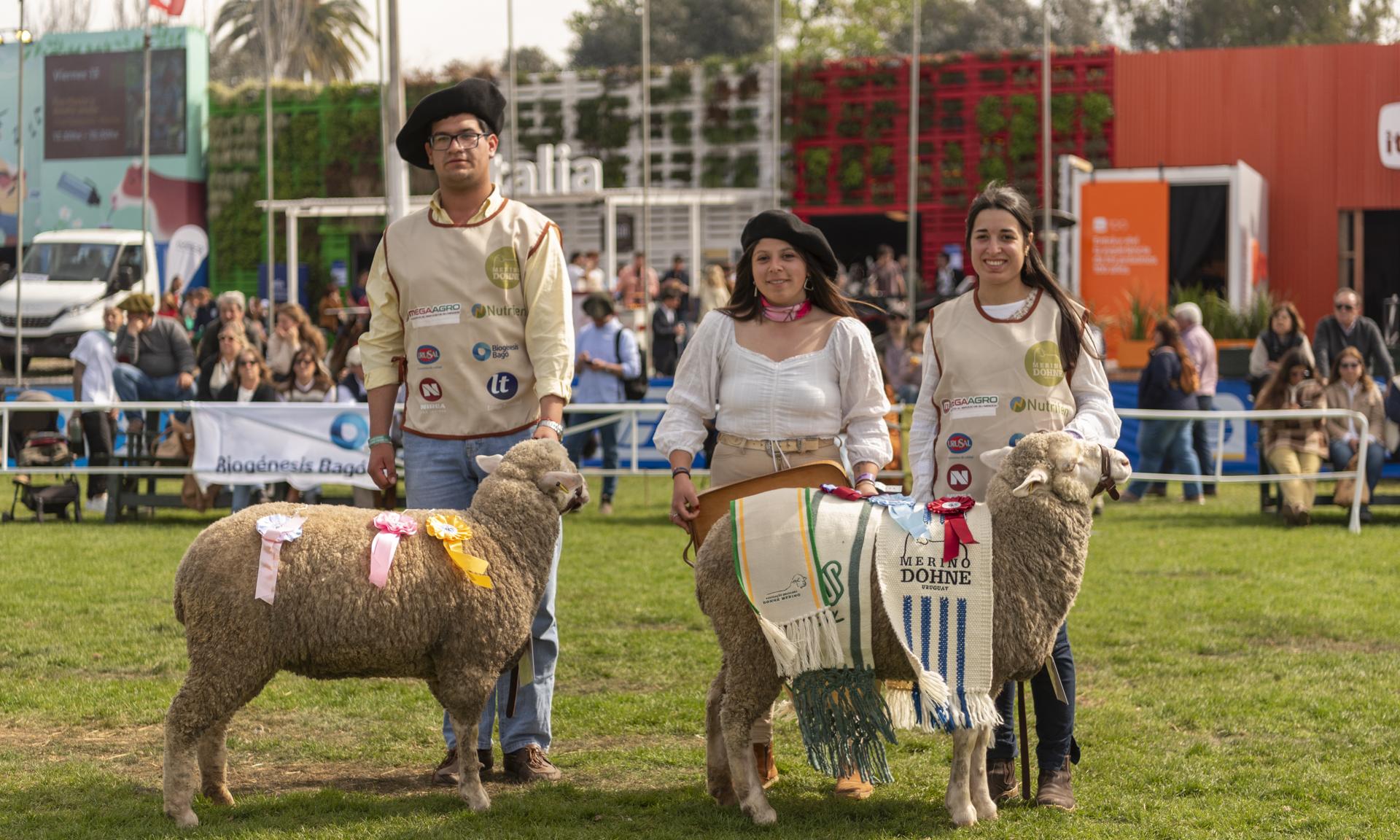 Dos broches de oro para UTU: Reservada y Gran Campeona de la raza Merino Dohne