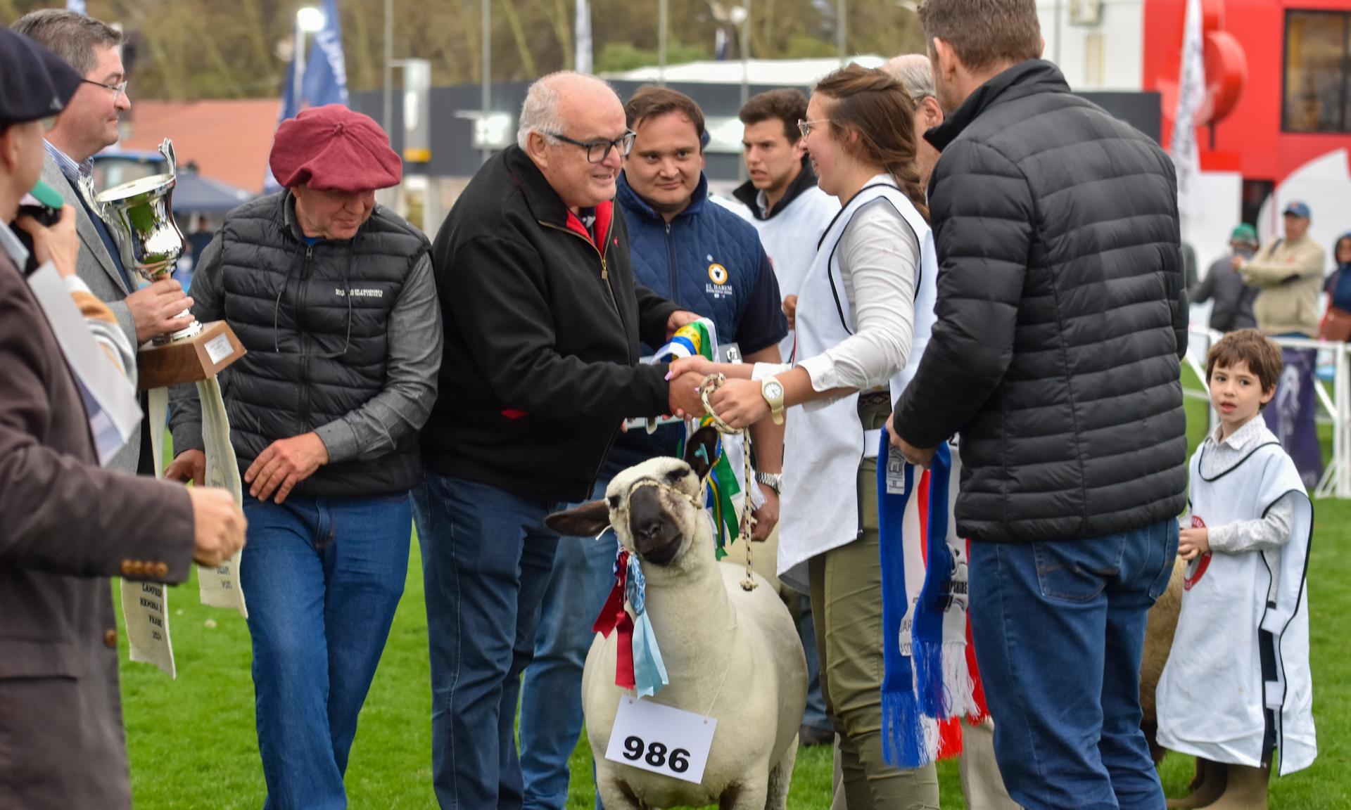 Agraria Serena es la Gran Campeona: desde los predios de UTU al podio de la Expo Prado 2024             