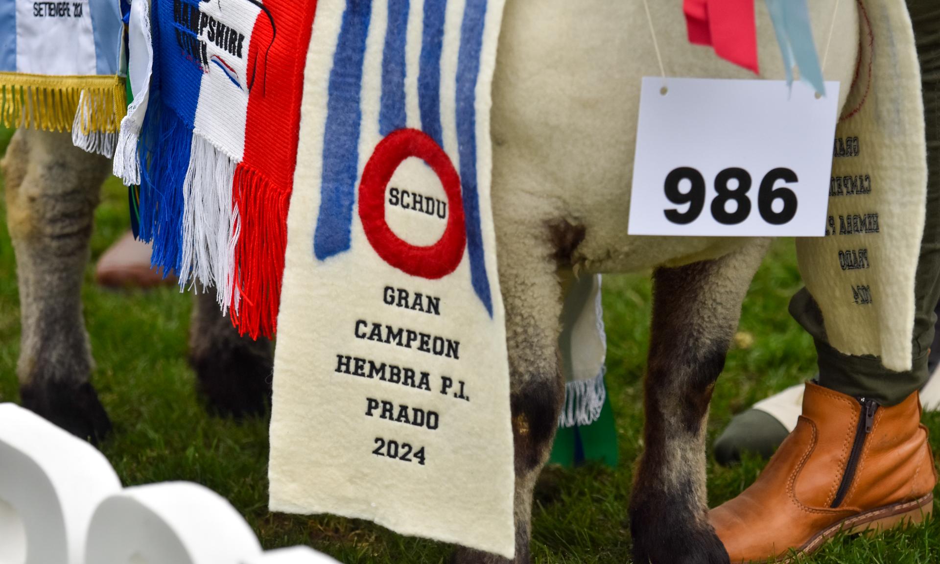Agraria Serena es la Gran Campeona: desde los predios de UTU al podio de la Expo Prado 2024             