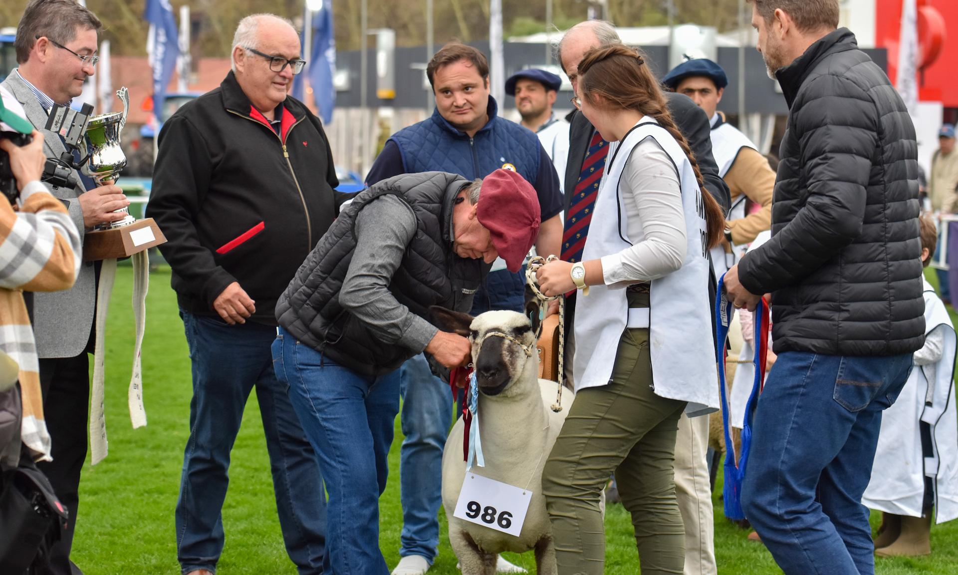 Agraria Serena es la Gran Campeona: desde los predios de UTU al podio de la Expo Prado 2024             