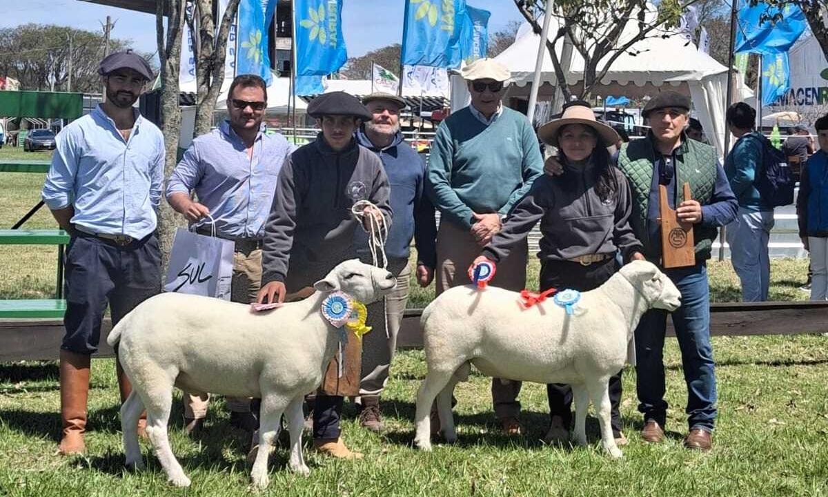 Estudiantes de Lorenzo Geyres premiados en la Expo Salto 2024: Gran Campeón y Reservado Gran Campeón 