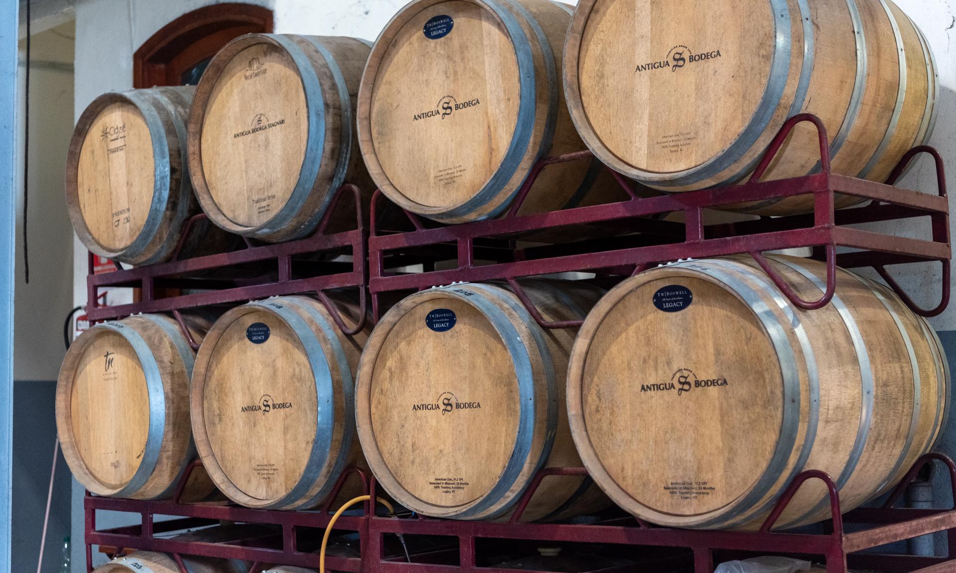 Estudiantes de Vitivinicultura de UTU tendrán pasantías en la Antigua Bodega Stagnari 