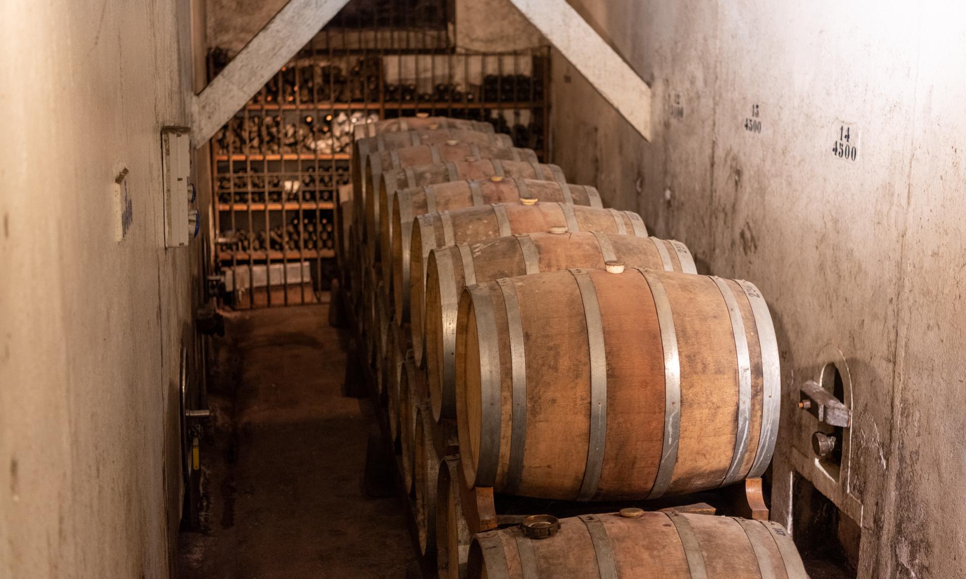 Estudiantes de Vitivinicultura de UTU tendrán pasantías en la Antigua Bodega Stagnari 