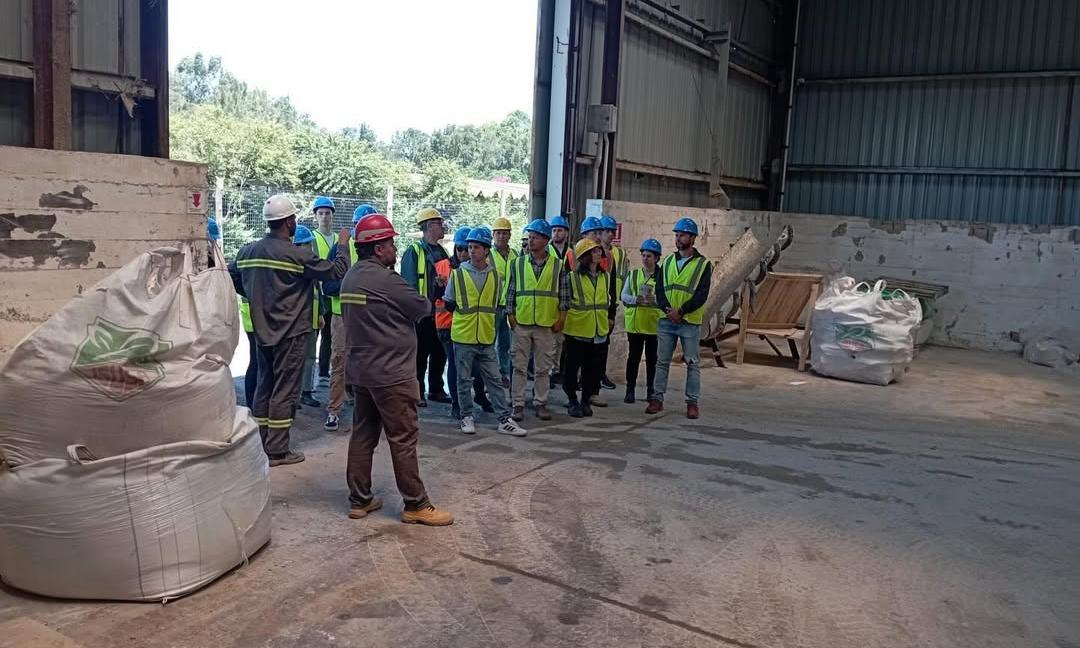Ingeniero Técnico Prevencionista