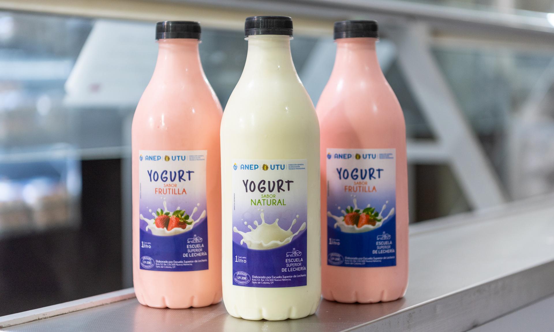 Por pirmera vez producción de yogurt en Nueva Helvecia se embotella para venta interna