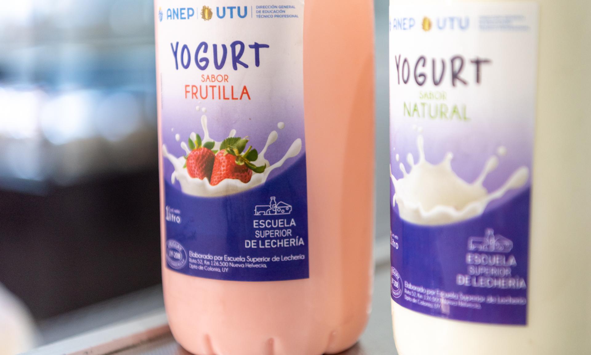 Por pirmera vez producción de yogurt en Nueva Helvecia se embotella para venta interna