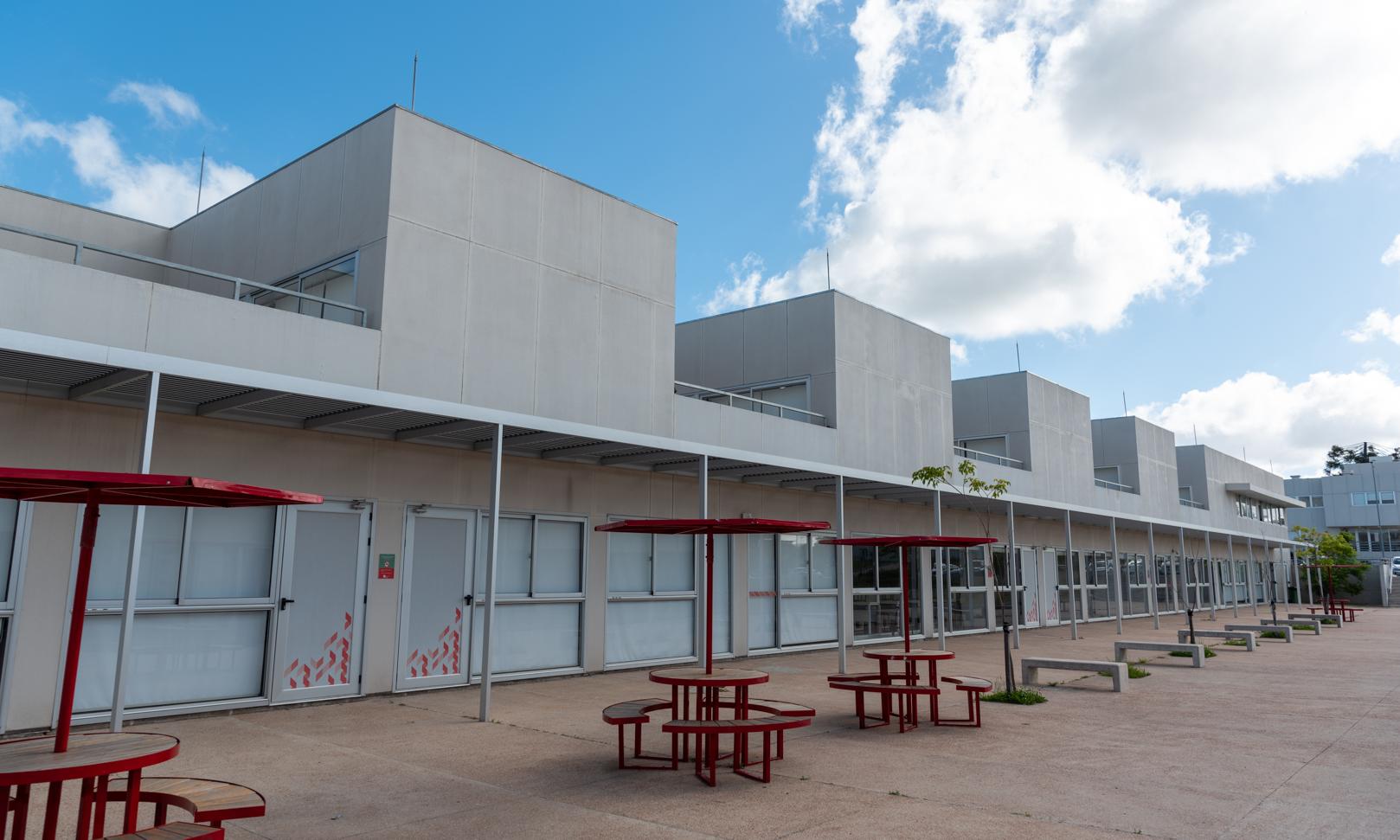 UTU y Facultad de Veterinaria abrirán bachillerato agrario