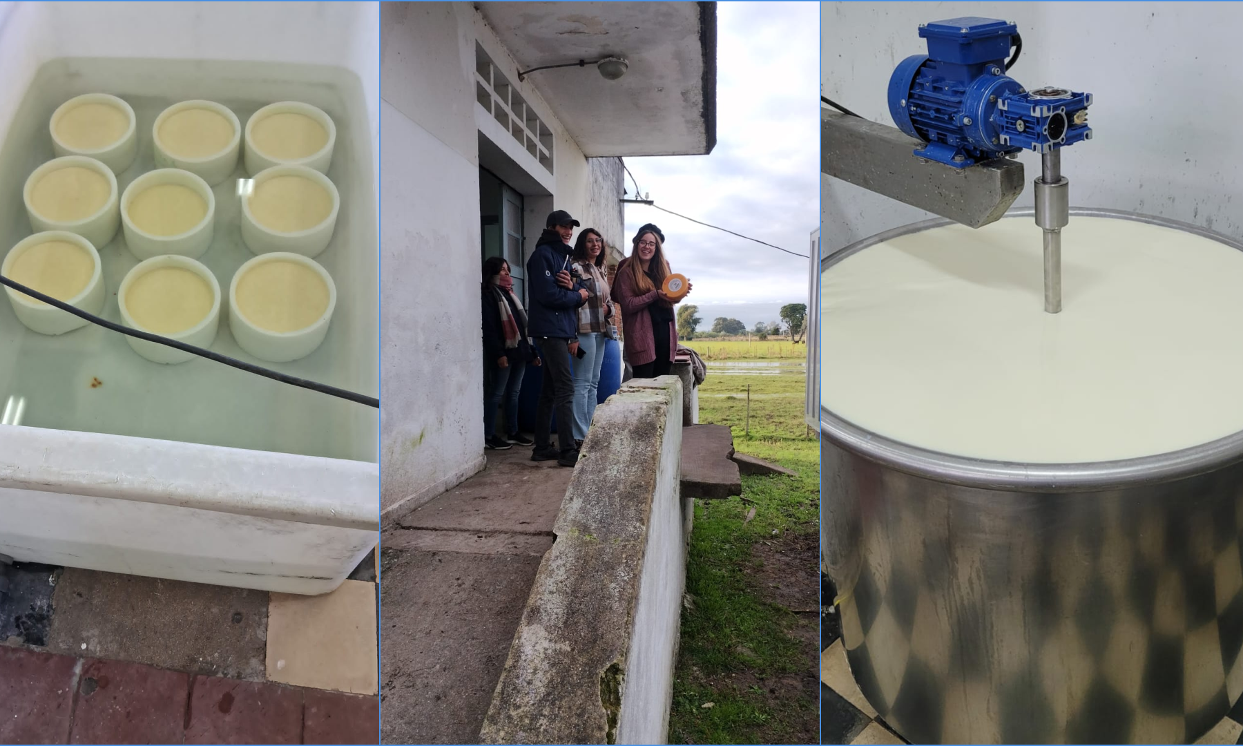 Hito histórico para UTU: reapertura de la planta de elaboración de lácteos en la Escuela Agraria de Rocha