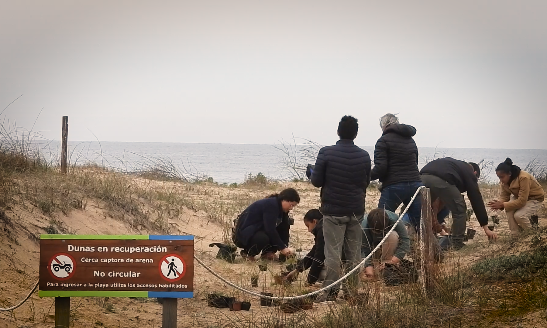 Aprendizaje y acción: estudiantes de UTU participan en la restauración de la Laguna Garzón