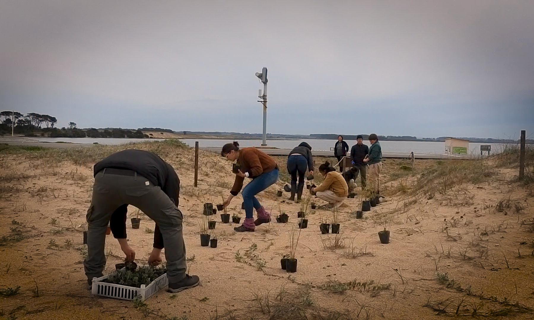 Aprendizaje y acción: estudiantes de UTU participan en la restauración de la Laguna Garzón