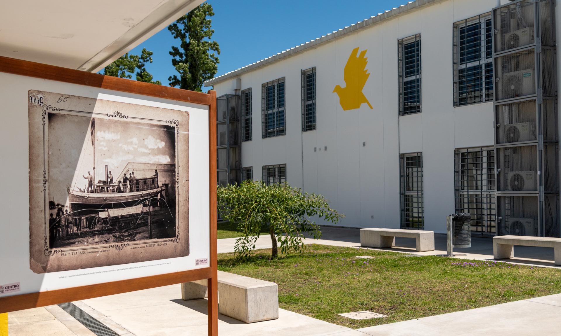 Muestra IAE San José