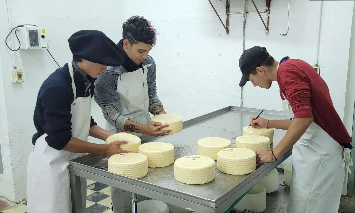Hito histórico para UTU: reapertura de la planta de elaboración de lácteos en la Escuela Agraria de Rocha