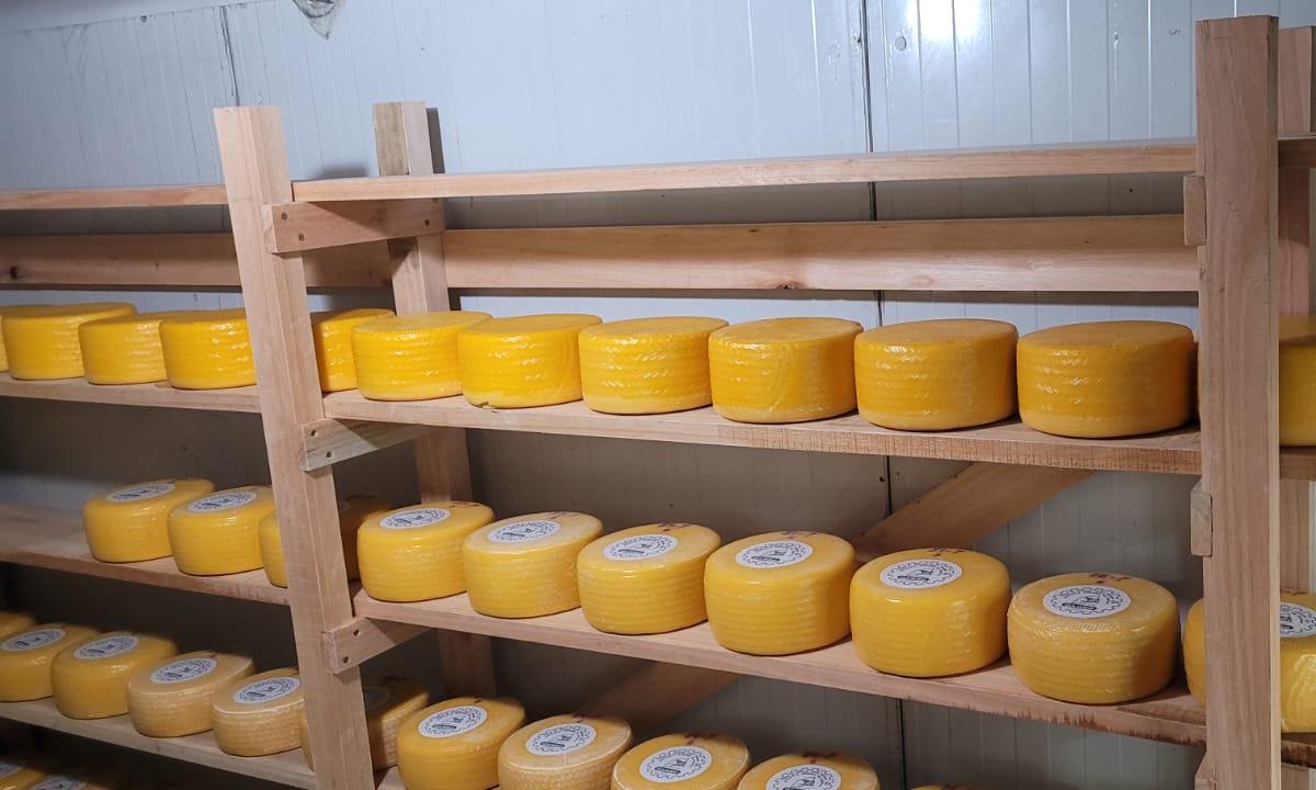 Hito histórico para UTU: reapertura de la planta de elaboración de lácteos en la Escuela Agraria de Rocha