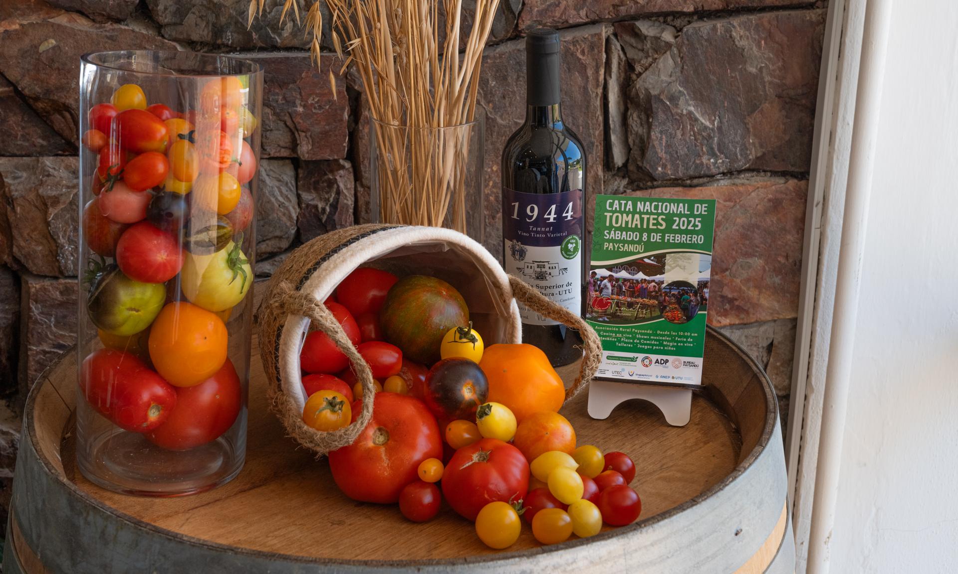 Cata nacional de tomates en prador Parada-12