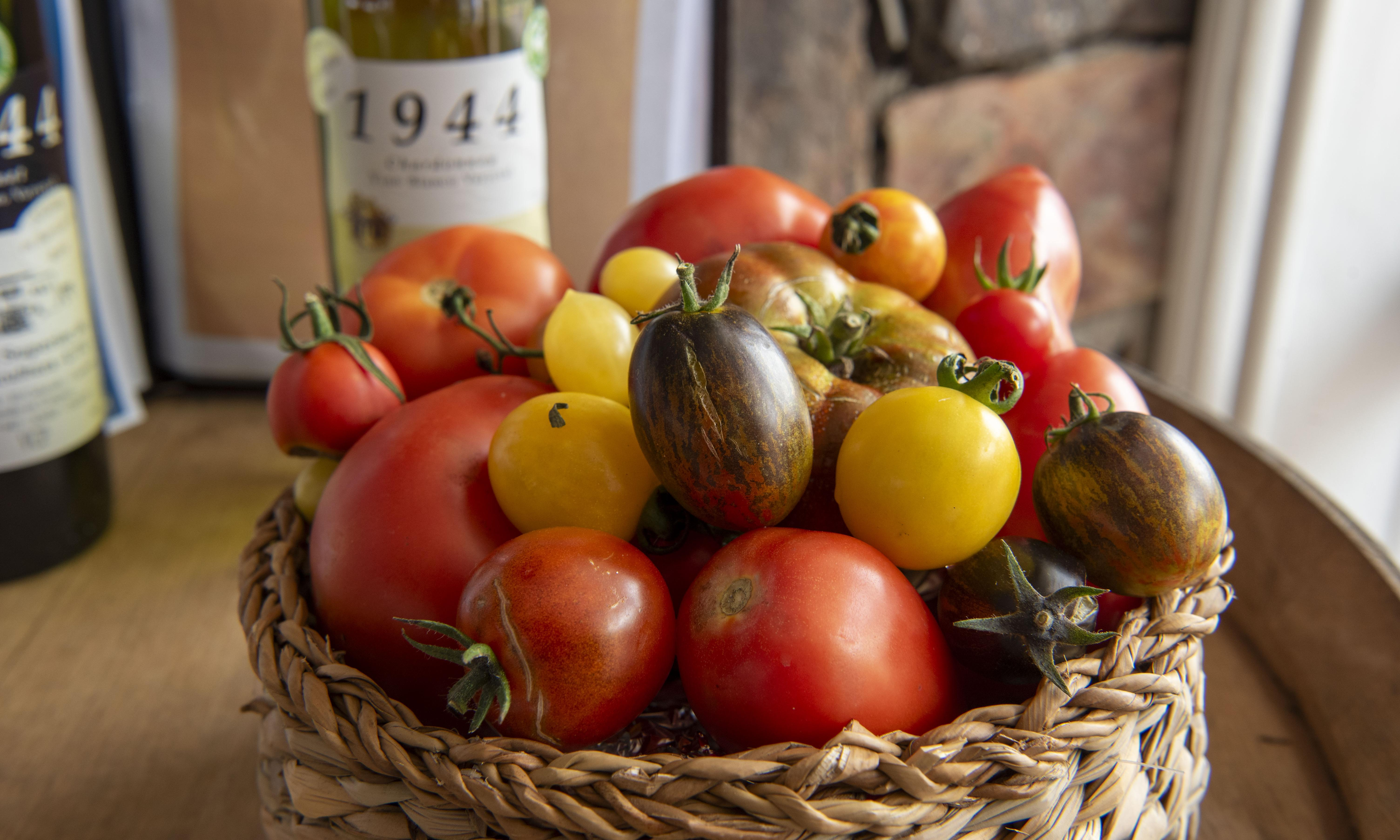 Parador Figari fue elegido nuevamente como sede para el lanzamiento de Cata de Tomates 