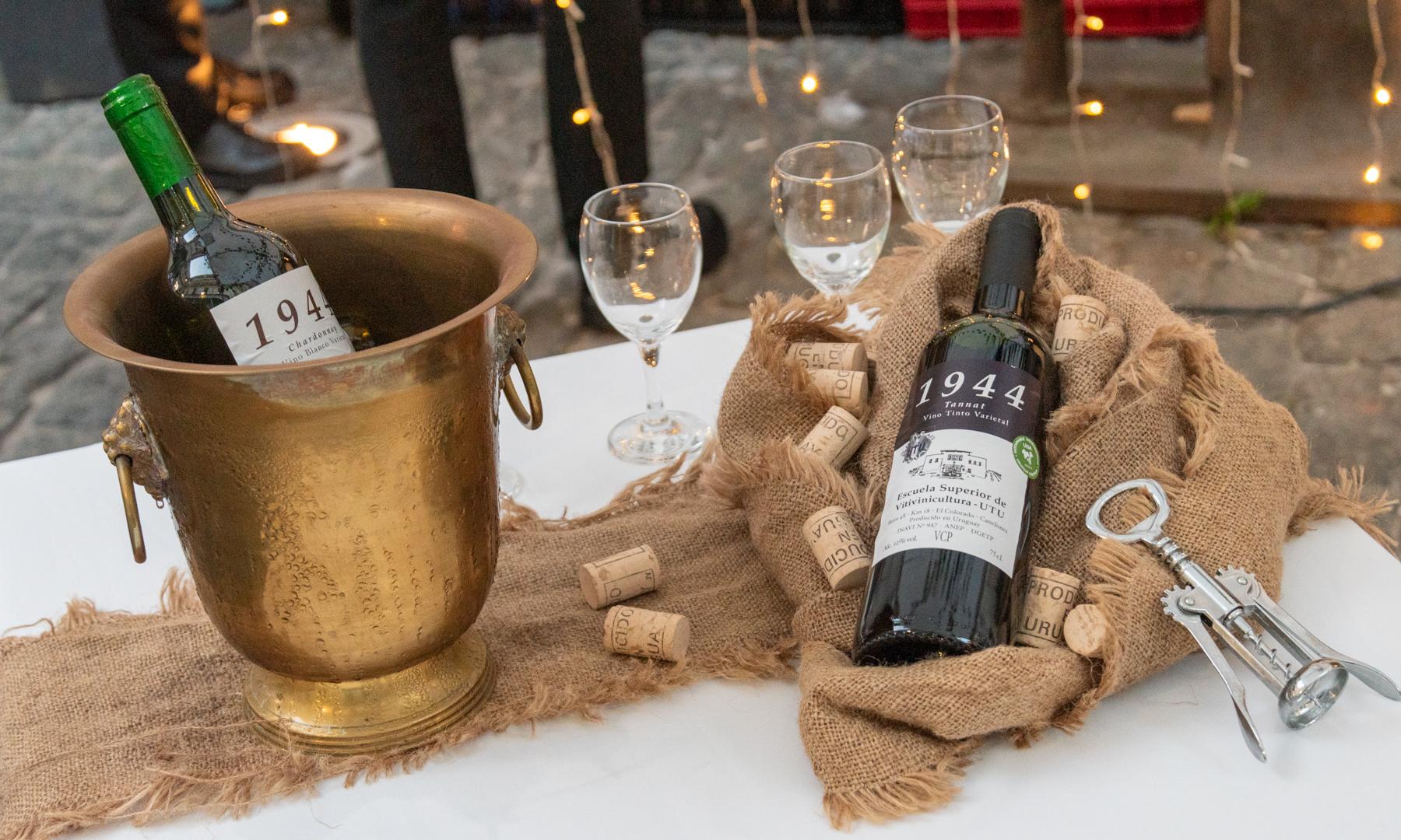 Continúan abiertas las inscripciones para la Tecnicatura en Gestión de Vinos y Aceite de Oliva
