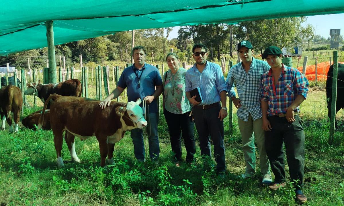 Raza Angus, Hereford y Normando de escuelas agrarias marcan presencia en 111º Expo Durazno