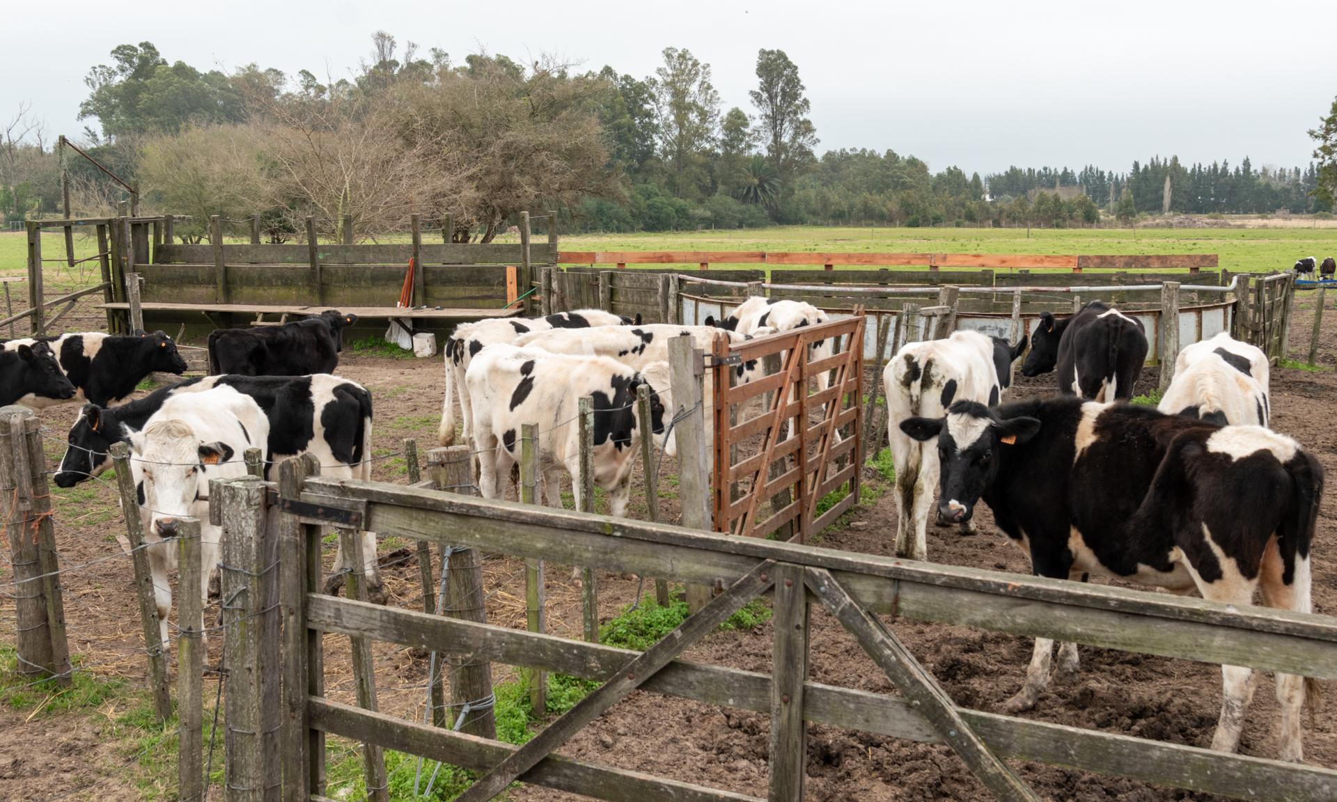 Convocatoria 2025 – Educación Rural